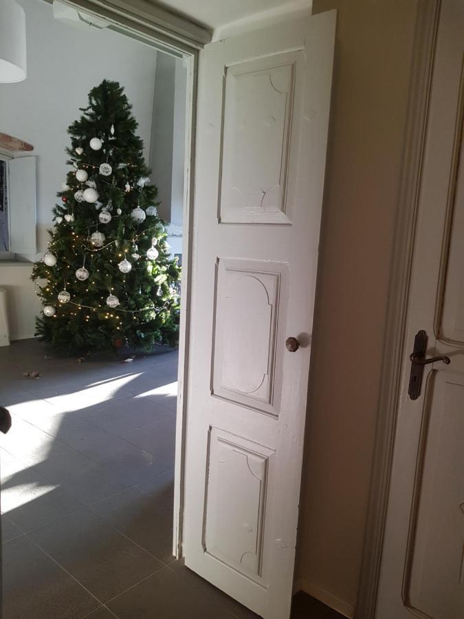 Antica Villa Cuneo- Guest House - "B&B E Non Un Hotel A Cuneo" Bagian luar foto